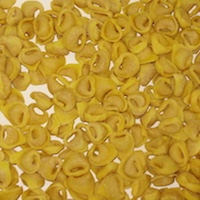 tortellini